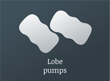 Lobe pumps