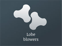 Lobe blowers